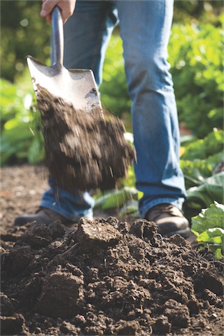 7 keys to healthy soil